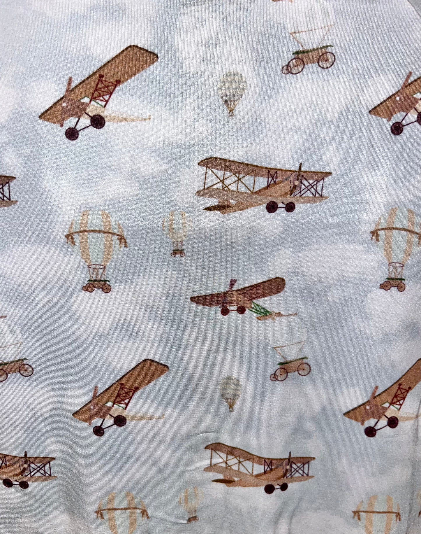 Vintage Aircraft Sleeper